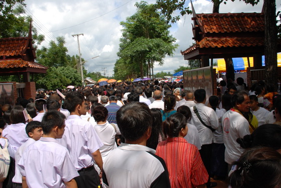 dsc0024my.jpg