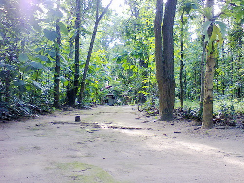 17.บรรยากาศสงบร่มรื่นภายในวัด 5.jpg