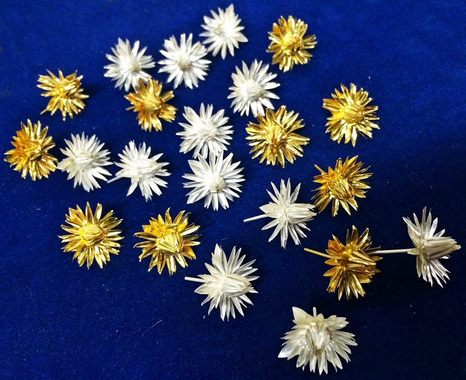 10369572_1526285117604542_4076569502108270255_n.jpg 10369572_1526285117604542_4076569502108270255_n.jpg