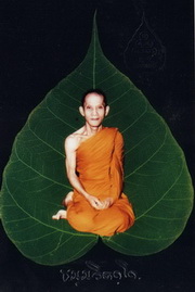 Copy of img039.jpg