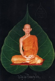 img039.jpg