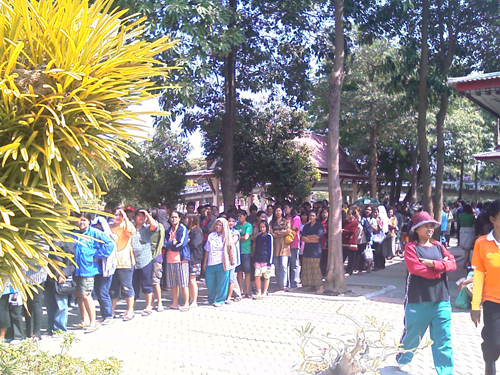 IMAG0281.jpg