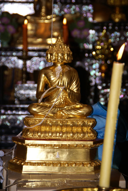DSC05685.jpg