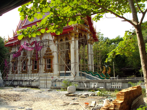 DSC00244_resize.JPG
