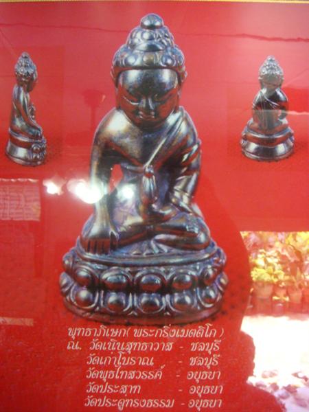 DSC09803 (Medium).JPG