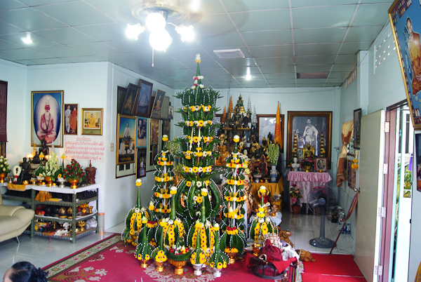 DSC03264.jpg