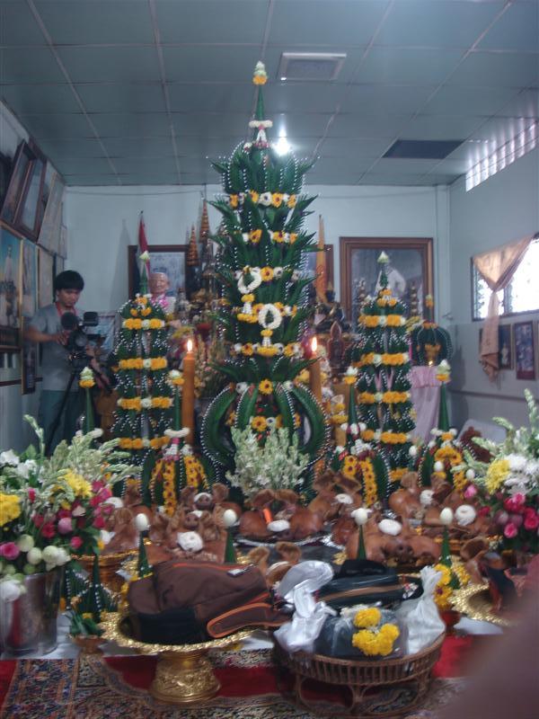 DSC06074 (Medium).JPG