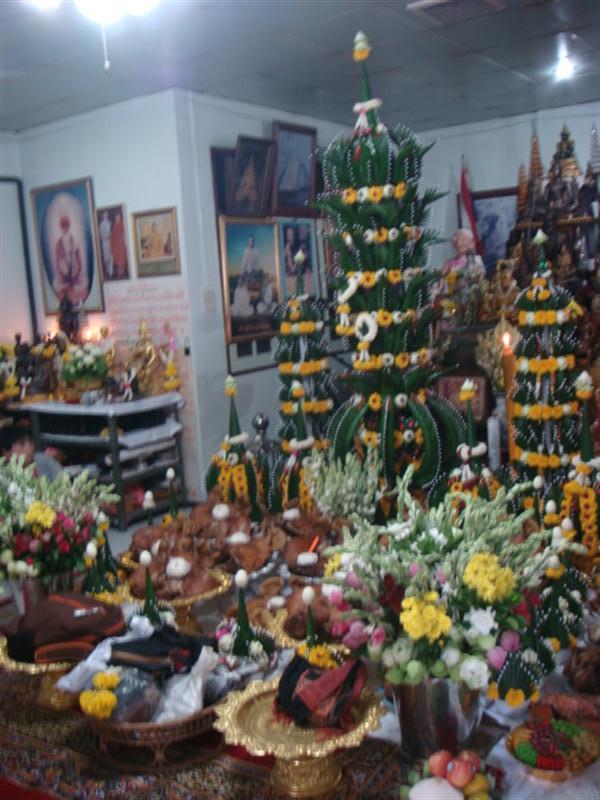 DSC06099 (Medium).JPG