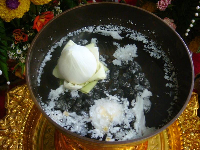 DSC01017.JPG