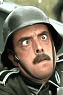 26_1231668060.gif