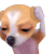 ๆ.gif
