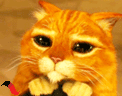 .gif