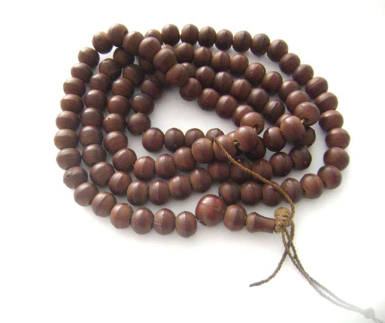 DSC04079.jpg DSC04079.jpg