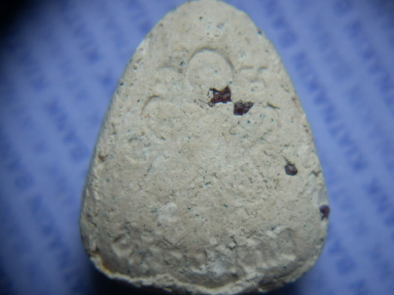RSCN2708.jpg