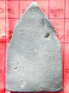 2009_10067ตค520073.JPG