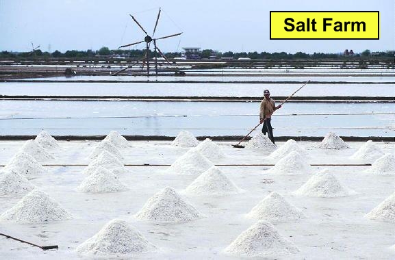 salt_farm.jpg