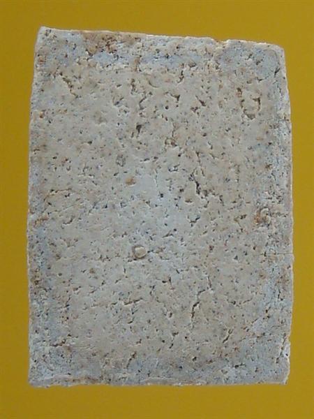 DSC06984 (Medium).JPG