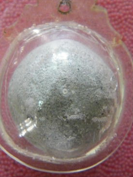 2010_061717มิย530121.JPG