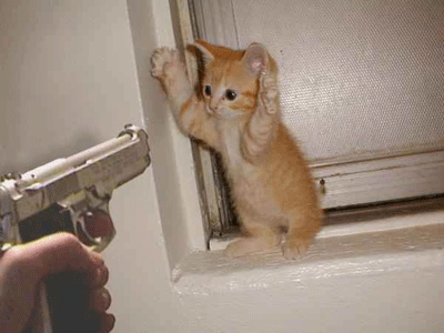 .gif