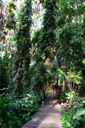DSC_0136.jpg