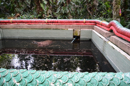 DSC_0133.jpg