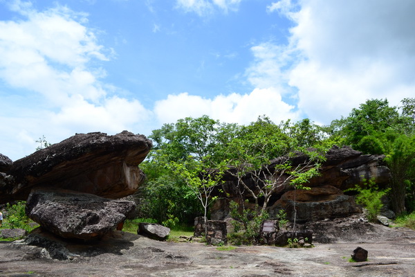 DSC_0104.jpg